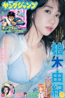 杨门女将之辕门斩子